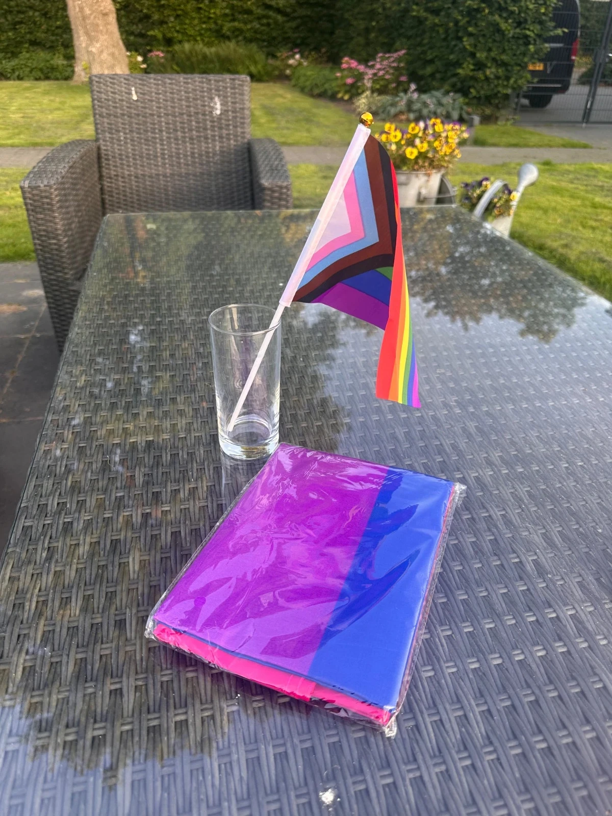 Bisexual vlaggen pakket